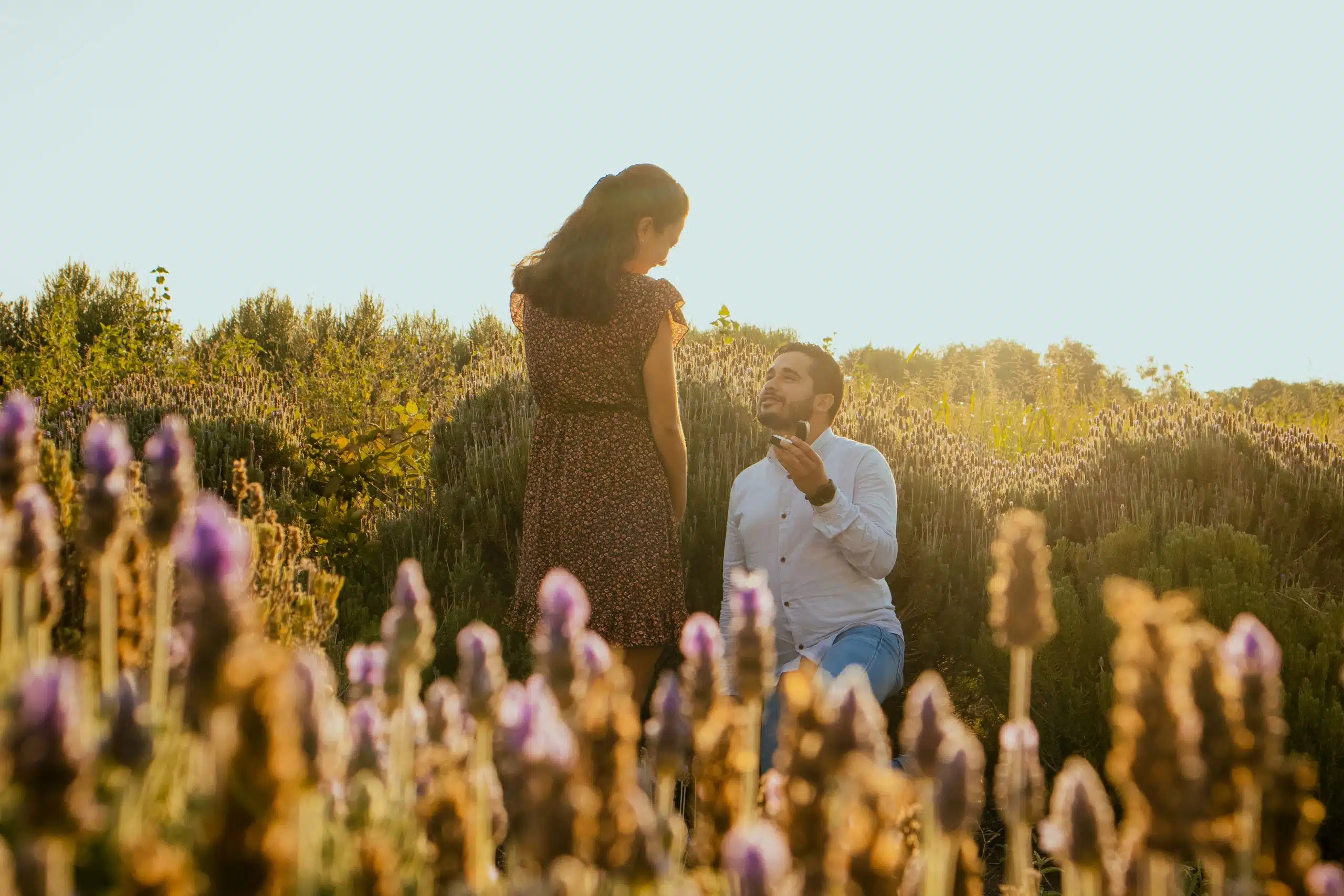 Proposal marriage in Sydney picture